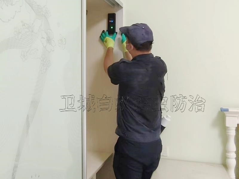 仲愷防治白蟻中心,仲愷白蟻防治所（質優價便）