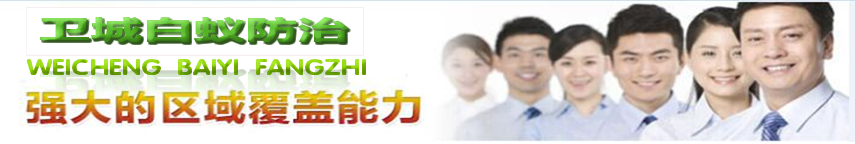 惠州白蟻防治電話,惠州滅白蟻所,惠陽白蟻防治中心