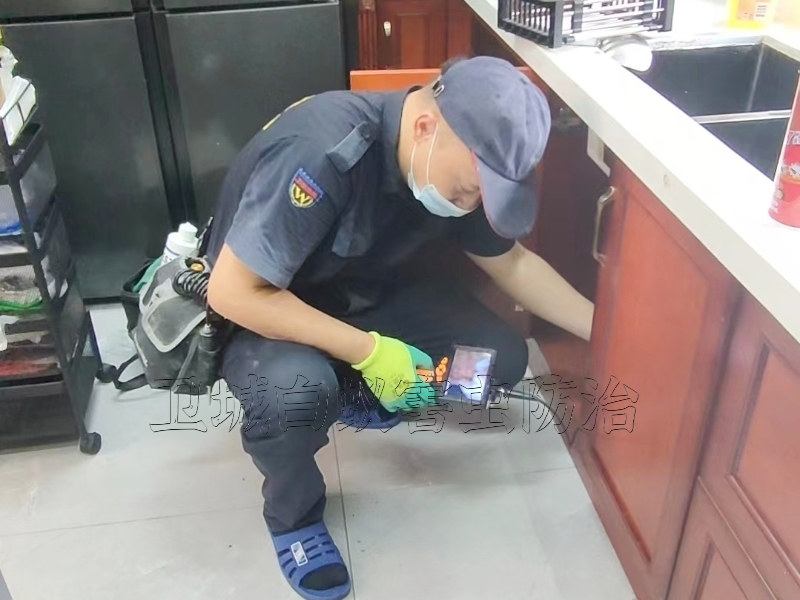 汕尾市海豐縣白蟻防治中心_(服務品質保障體系)_海豐家居裝修白蟻預防服務中心