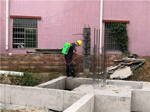 東莞市虎門鎮(zhèn)白蟻防治中心 - 本地師傅專門滅除白蟻服務(wù)