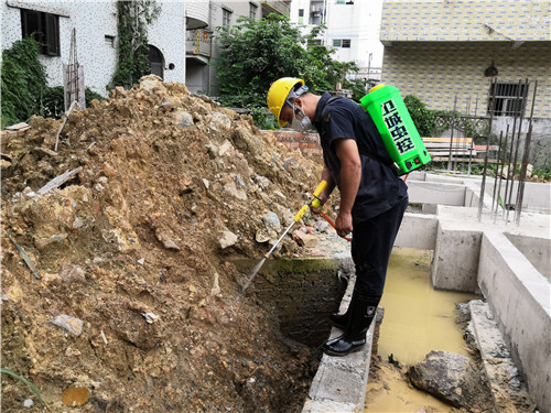 南沙滅殺白蟻公司哪家最正規專業