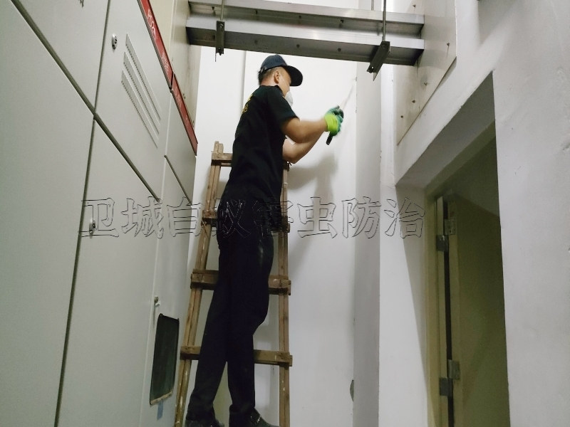 普寧市滅白蟻公司(質量支撐優服務  )普寧白蟻防治中心