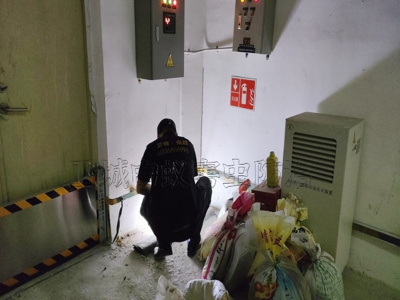 澄海區白蟻防治_澄海滅白蟻公司_汕頭市衛城白蟻防治有限公司