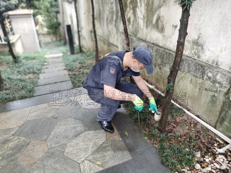 潮州湘橋區白蟻防治中心_湘橋區滅白蟻公司本地師傅優質服務商 _潮州市衛城白蟻防治有限公司