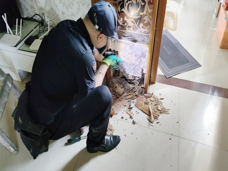 汕尾市海豐縣滅白蟻公司(專業案例實操指導)汕尾白蟻防治中心