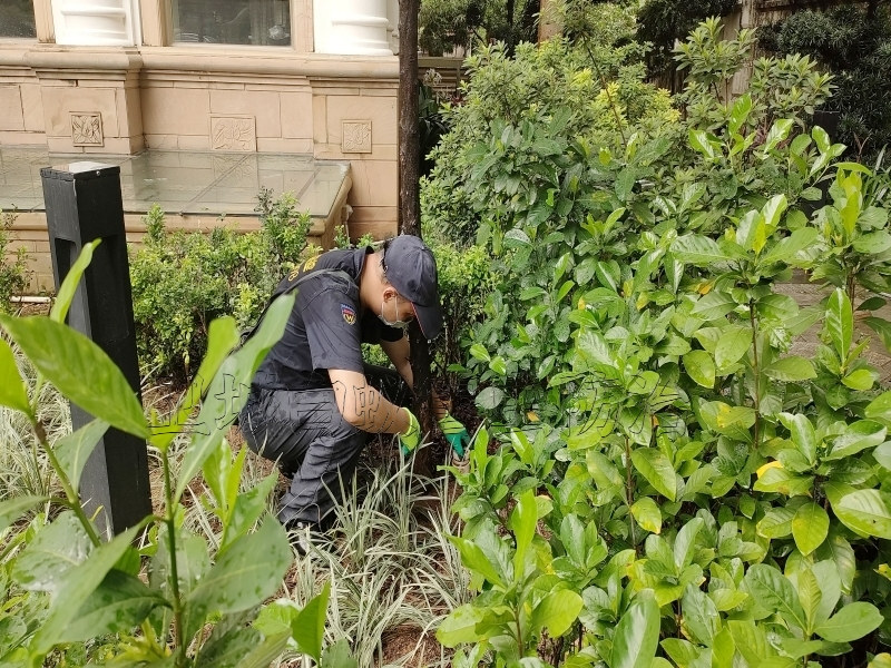 廣州南沙區白蟻防治中心所滅除白蟻公司【權威白蟻防治機構】攜高端白蟻檢測設備上門檢查滅治