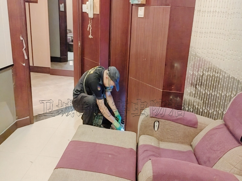 廣州海珠區白蟻防治中心所滅除白蟻公司【權威白蟻防治機構】攜高端白蟻檢測設備上門檢查滅治