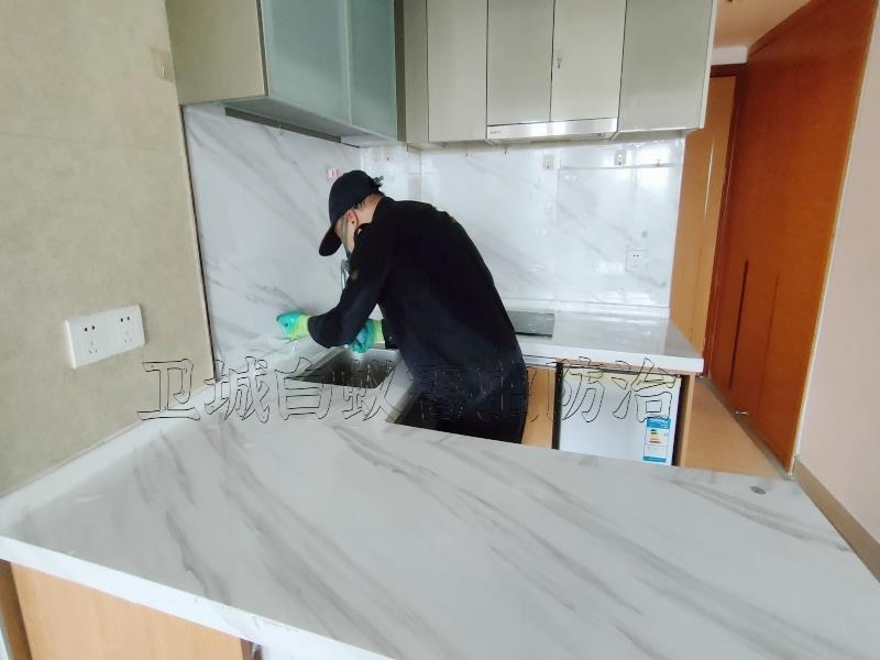 深圳市福永白蟻消殺公司-福永白蟻行業專家