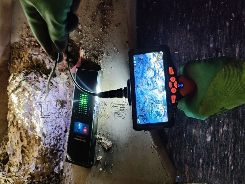 深圳市西鄉白蟻防治機構-西鄉白蟻正規消殺公司