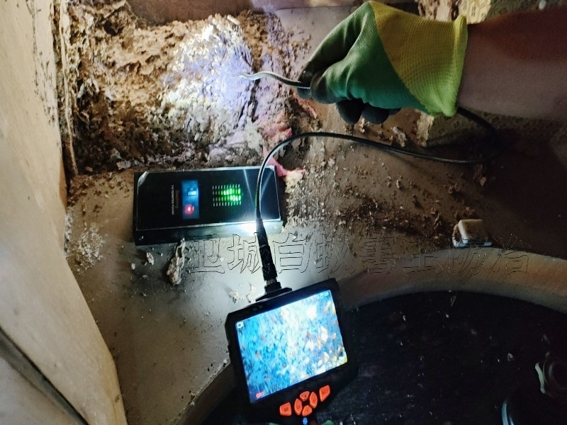 深圳市新安白蟻防治機構-新安白蟻隨叫隨到