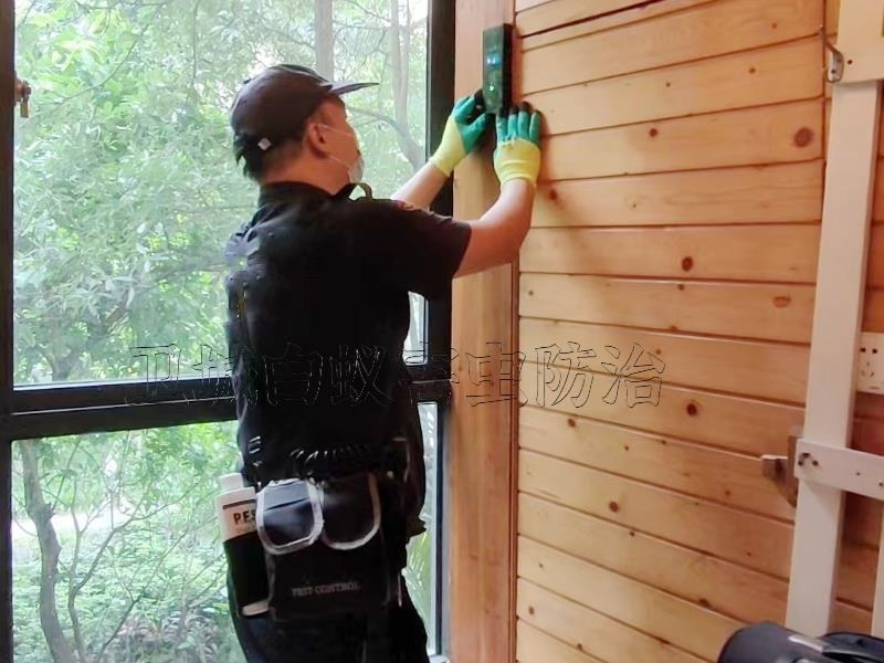 惠州白蟻防治公司-惠州白蟻防治收費標準