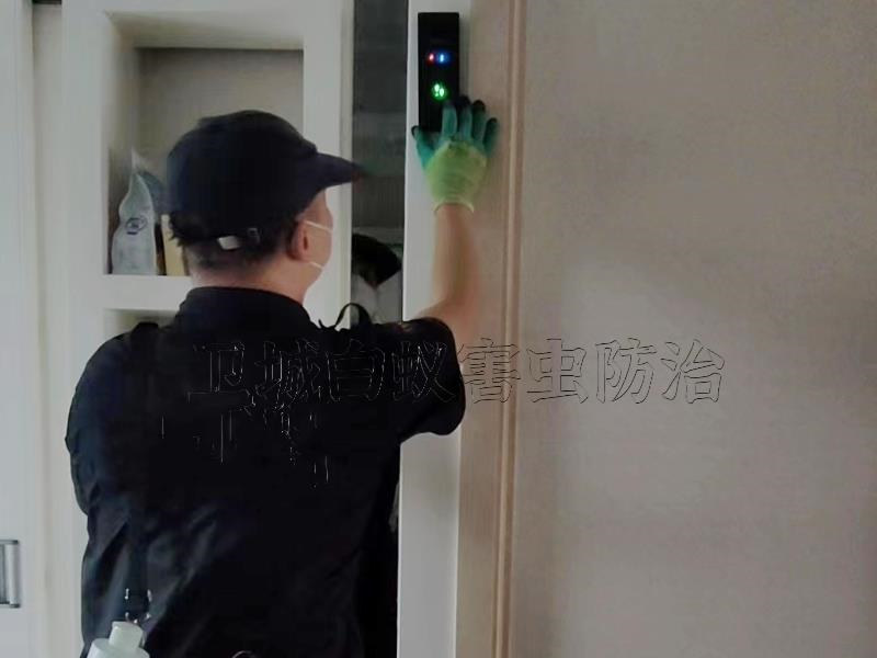 惠州白蟻防治公司，惠州惠城滅白蟻中心（衛(wèi)城蟲控）