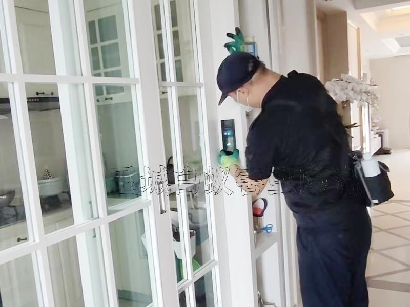 惠州市惠城區白蟻防治中心-衛城白蟻防治高端白蟻防治上門檢測服務