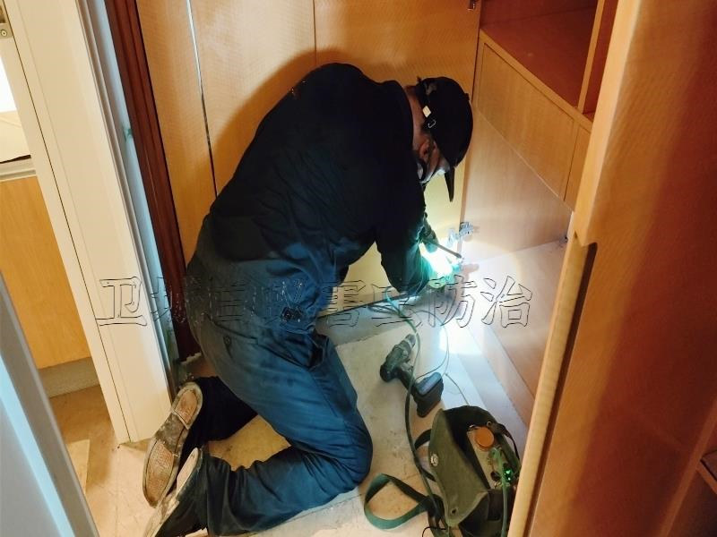 深圳寶安白蟻防治滅白蟻丨寶安白蟻防治公司丨寶安區消殺白蟻中心