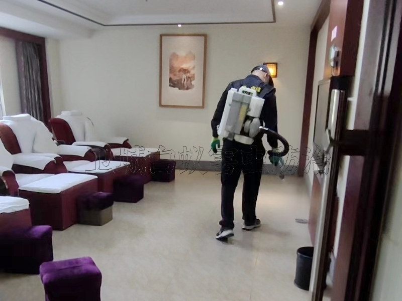 深圳市鹽田區白蟻防治中心