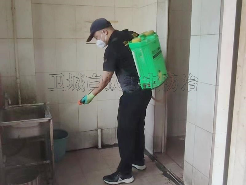 深圳市寶安區觀瀾白蟻防治中心