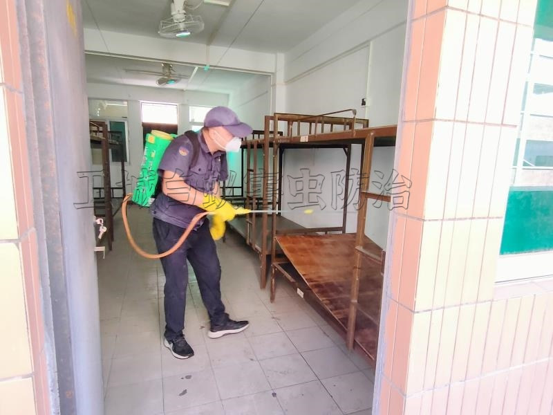 惠州市惠城區江北白蟻防治中心 - 蟻后繁殖后代過程中的環境因素調控策略
