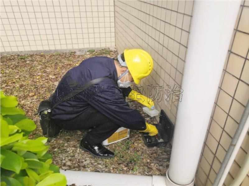 惠州馬安滅鼠公司,三棟水口潼湖工廠滅臭蟲跳蚤,專業惠州殺蟲除四害服務公司