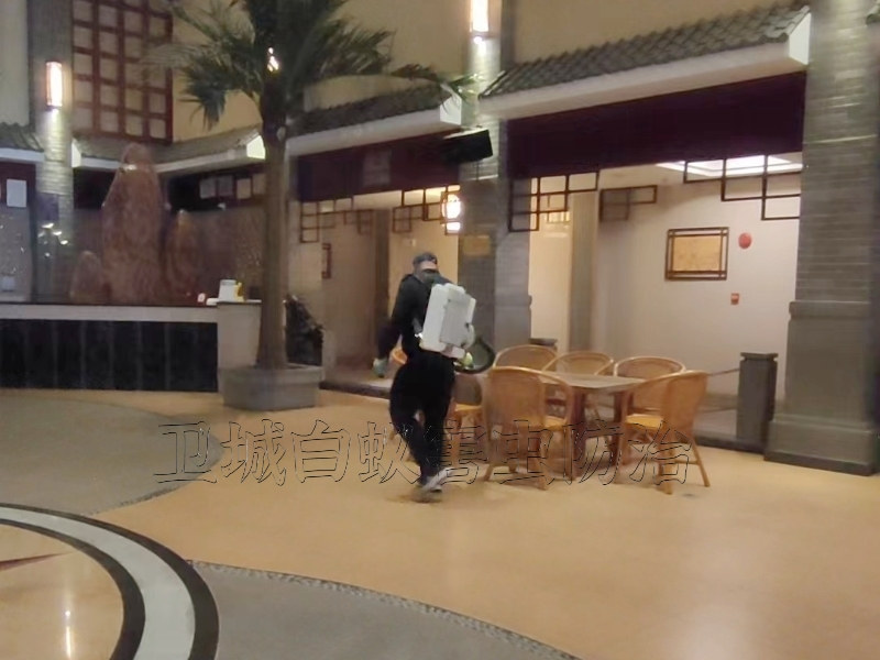 東莞虎門臭蟲防治中心-大嶺山專業宿舍殺臭蟲跳蚤 {東莞厚街除四害服務}滅白蟻