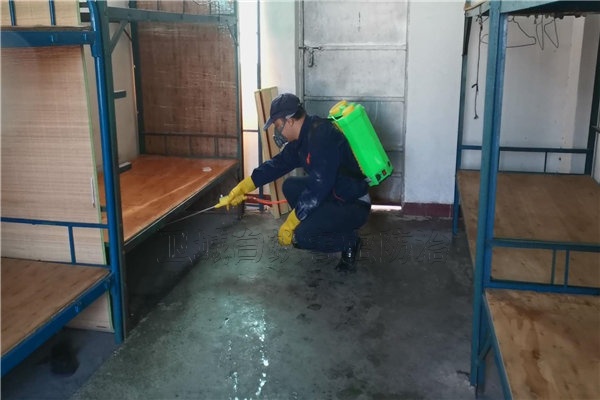 東莞鳳崗鎮除四害公司｛本地企業專注蟲害服務｝鳳崗鎮臭蟲防治滅狗跳蚤貓跳蚤殺蟲公司