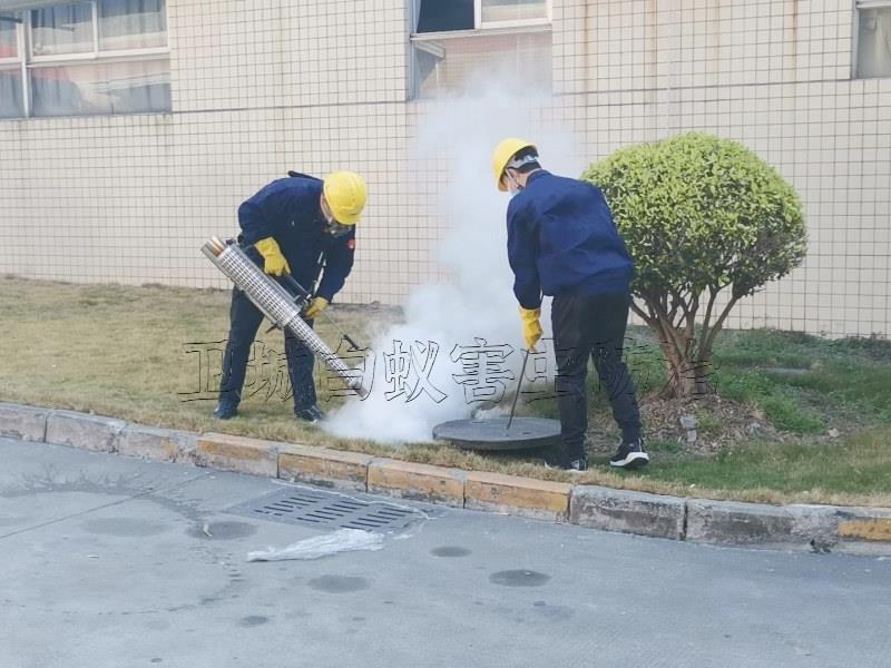 東莞謝崗除四害服務機構單位｛謝崗臭蟲防治服務｝市政推薦謝崗鎮殺蟲公司