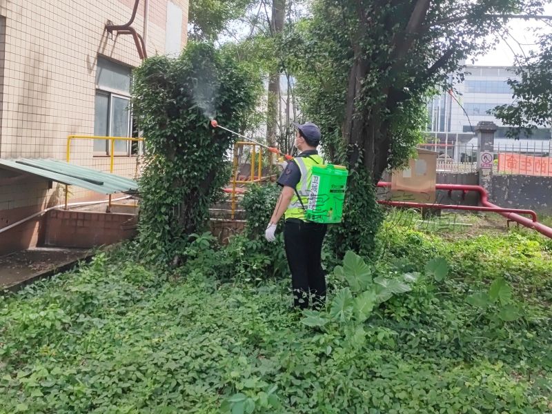 惠州市博羅縣羅陽鎮白蟻防治中心