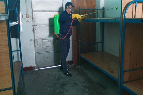 深圳龍華臭蟲防治-深圳滅蜘蛛跳蚤滅鼠工程企業推薦龍華白蟻防治專家