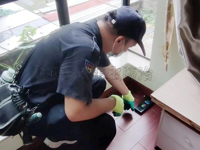 普寧市白蟻防治_普寧滅白蟻公司安全環保快速響應_普寧市衛城白蟻防治有限公司