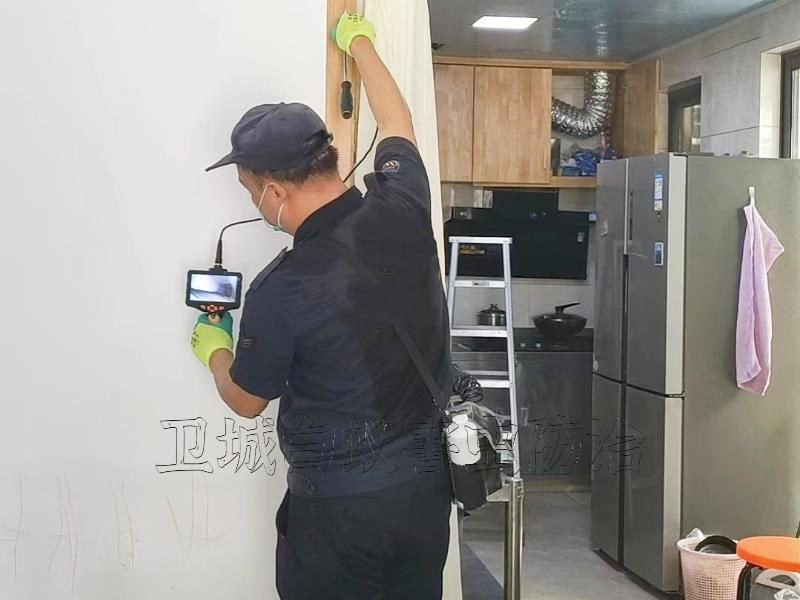 鹽田區白蟻防治所電話-深圳鹽田除白蟻專業機構推薦