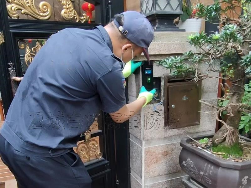 深圳羅湖白蟻消殺管理處，羅湖白蟻防治電話號碼是多少