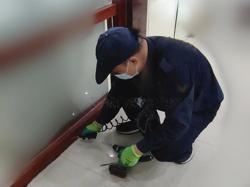 東莞市大嶺山鎮白蟻防治中心 - 滅白蟻安全可靠的滅白蟻專家