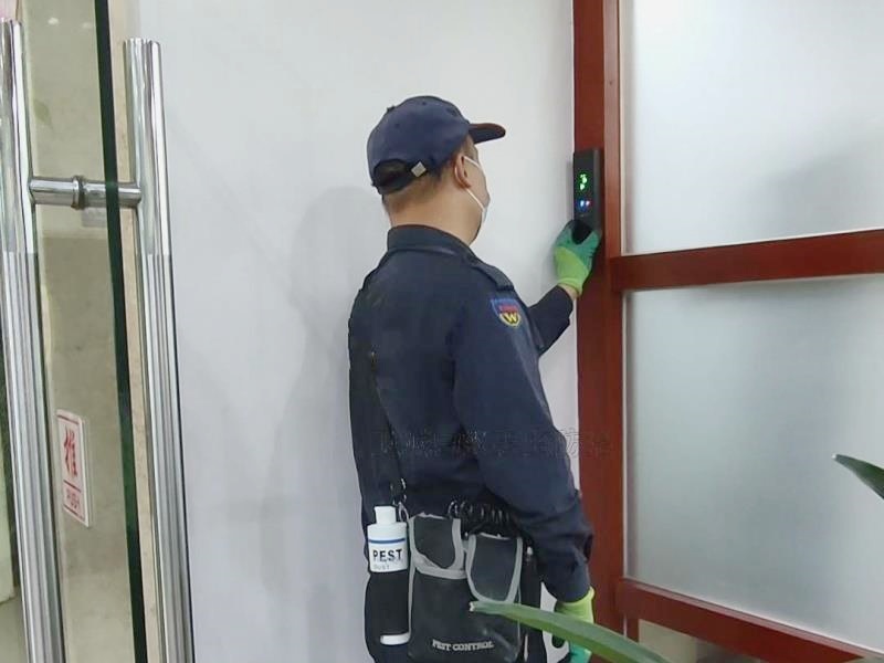 潮州潮安區白蟻防治_潮州潮安滅白蟻公司豐富的服務經驗_潮州市衛城白蟻防治有限公司