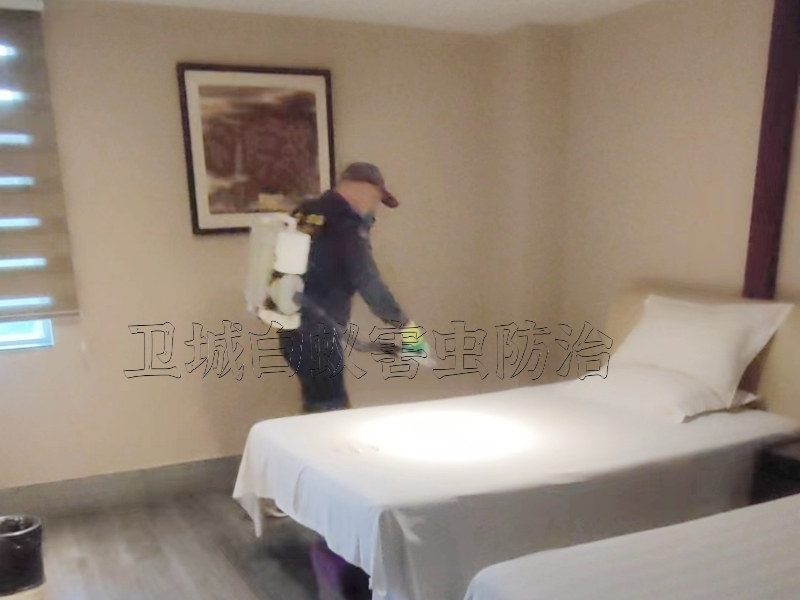 惠州工廠消毒殺蟲(chóng),惠州工廠宿舍殺臭蟲(chóng)滅跳蚤除蟲(chóng)經(jīng)驗(yàn)豐富