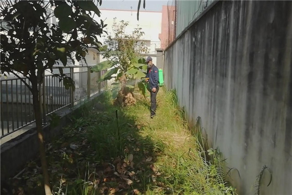 東莞殺蟲公司，東莞殺臭蟲