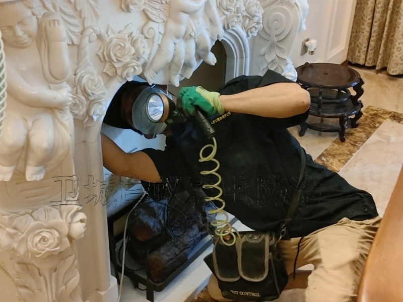 東莞長(zhǎng)安滅除白蟻公司，長(zhǎng)安除四害殺蟲，長(zhǎng)安滅鼠