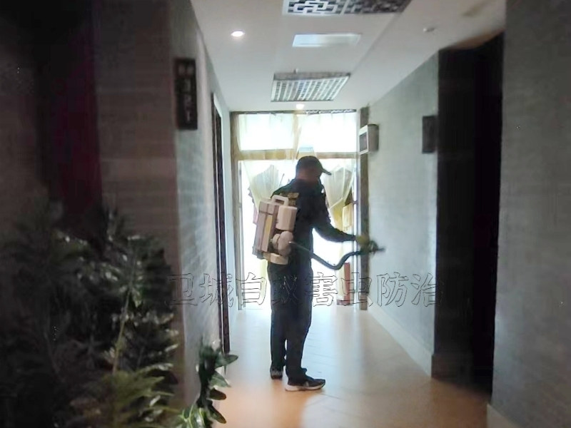 惠州滅臭蟲公司,專業惠州殺臭蟲,宿舍床鋪上吸血臭蟲防治