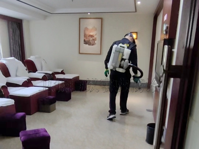 知道為什么蟑螂不能用腳踩嗎？惠州惠陽殺蟲公司丨惠陽淡水工廠除蟲滅鼠