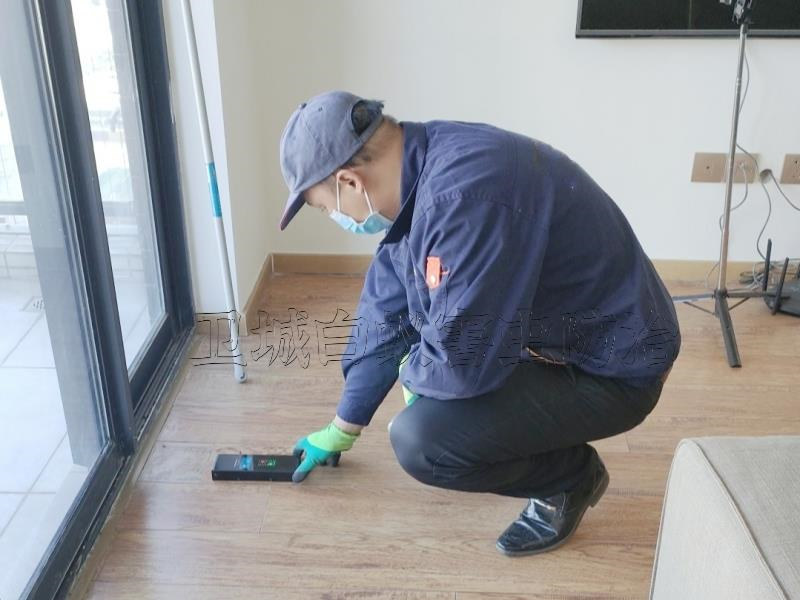 惠陽白蟻防治中心,惠州惠陽淡水家居白蟻滅治案例