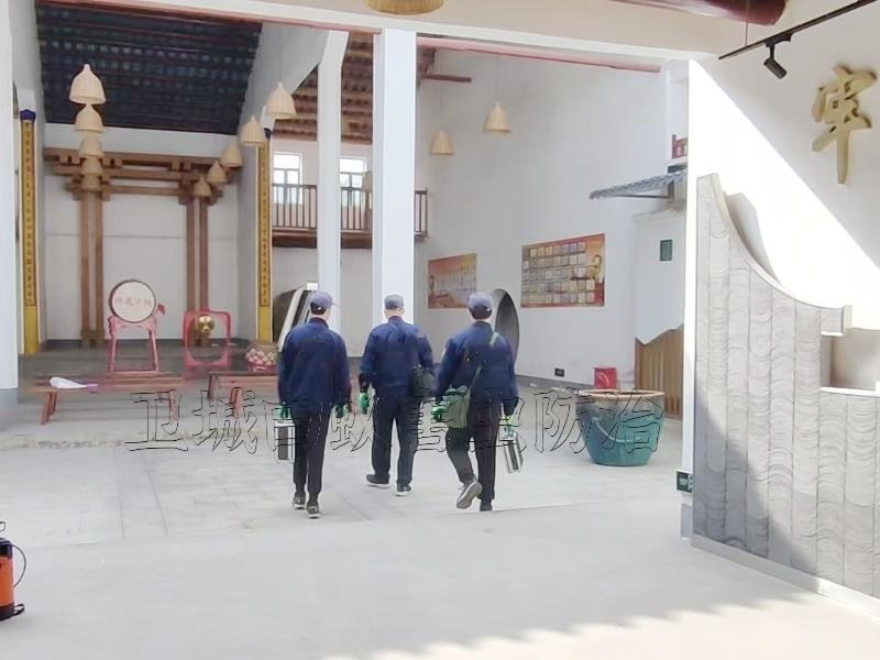 惠陽白蟻防治中心,惠州惠陽淡水家居白蟻滅治案例