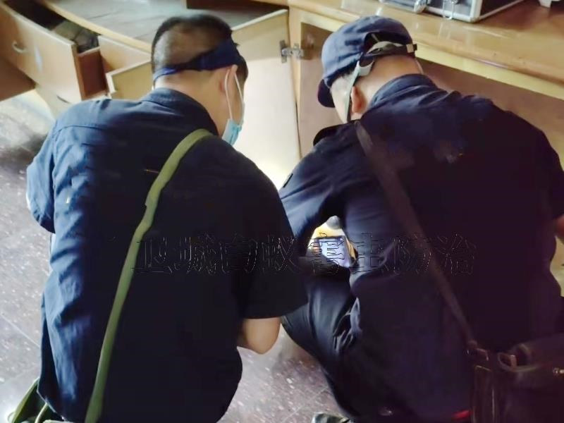 大亞灣白蟻防治|信譽保證大亞灣滅白蟻公司