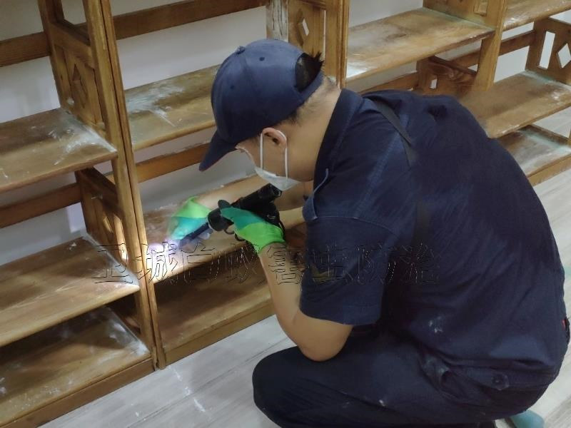惠東縣白蟻防治|惠東專業滅白蟻公司徹底治根殺白蟻