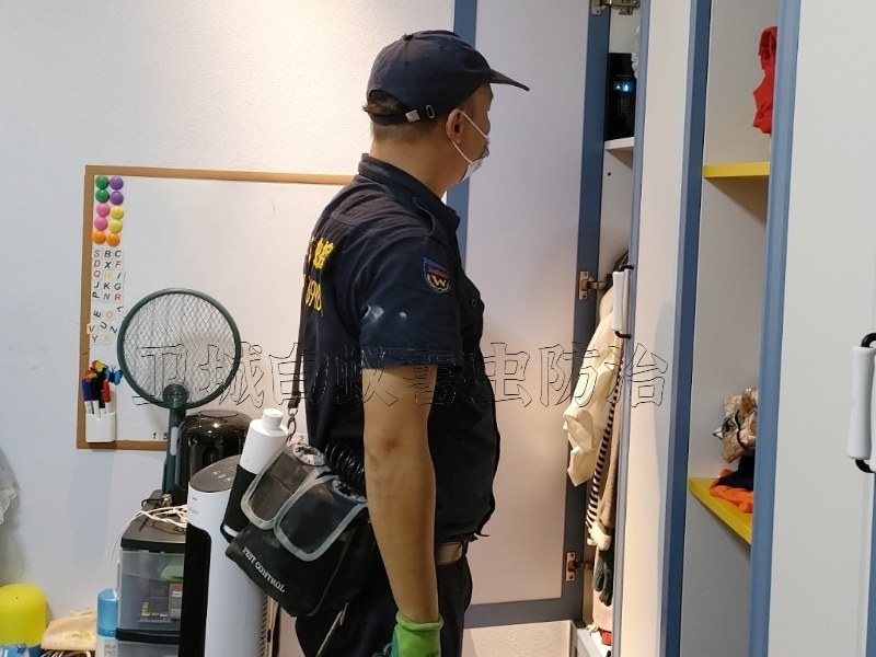惠東縣白蟻防治|惠東專業滅白蟻公司徹底治根殺白蟻