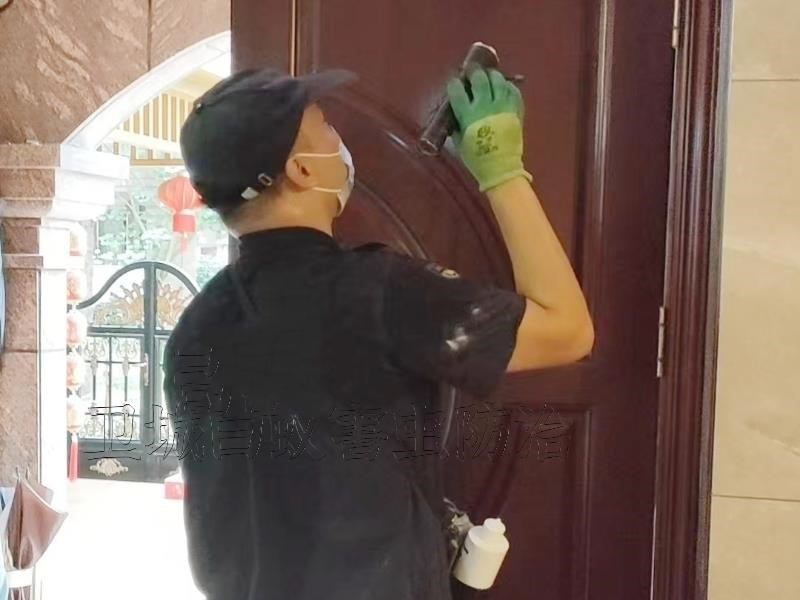 仲愷白蟻防治|惠州仲愷白蟻防治中心滅白蟻專注更專業