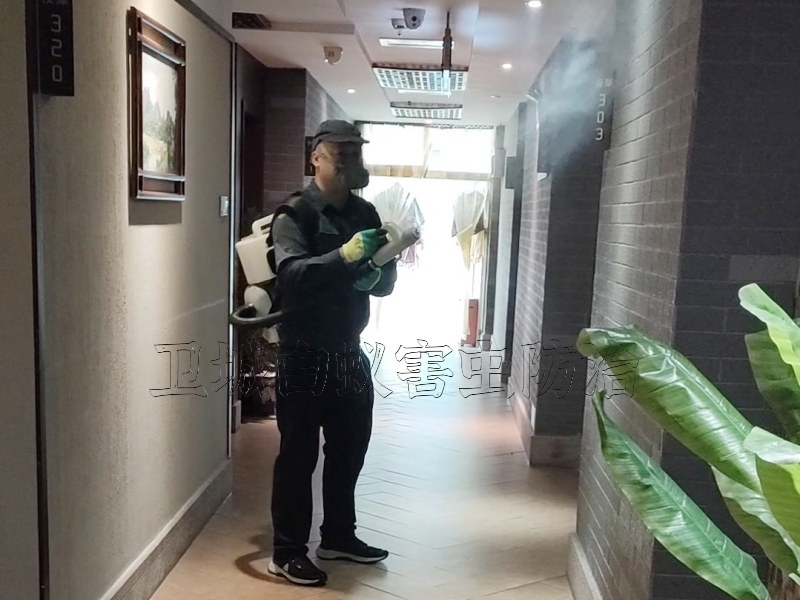 淡水裝修防白蟻質量有保證
