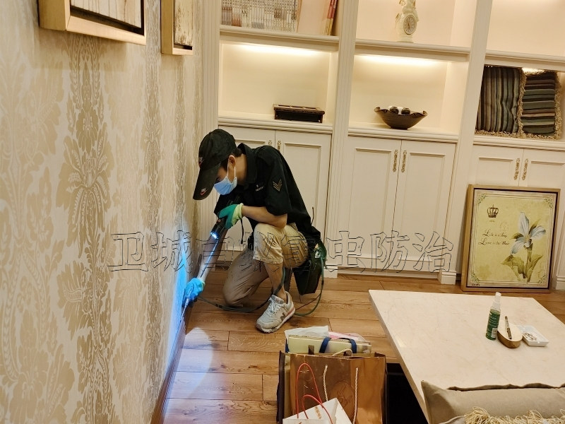 惠州橫瀝白蟻防治_白蟻對埋地電纜和交通設施的危害