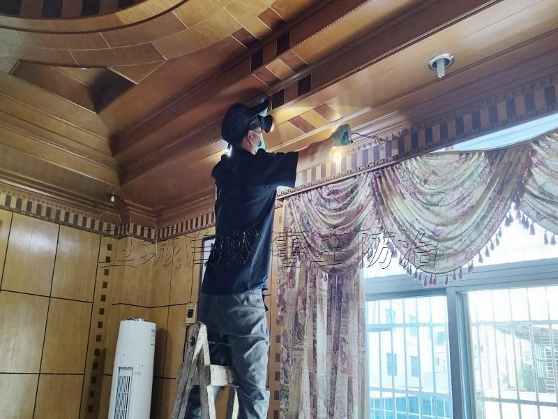 惠州良井白蟻防治,白蟻分飛期,大水蟻,殺蟲劑,良井白蟻防治