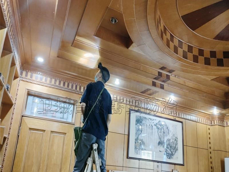 瀝林白蟻防治中心,瀝林白蟻防治所技術行內領先