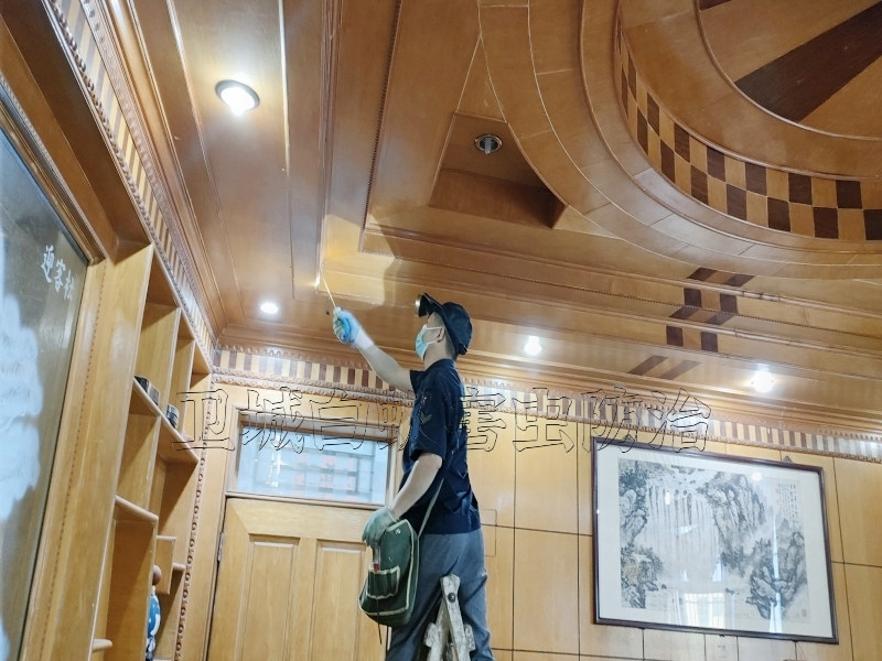 朱村白蟻防治殺滅白蟻【資質認證企業推薦】_增城朱村滅白蟻公司