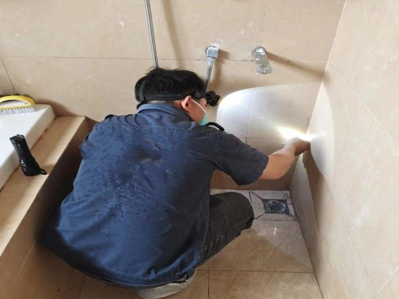 廣州魚珠白蟻防治_黃埔魚珠白蟻防治優質服務滅白蟻效率高