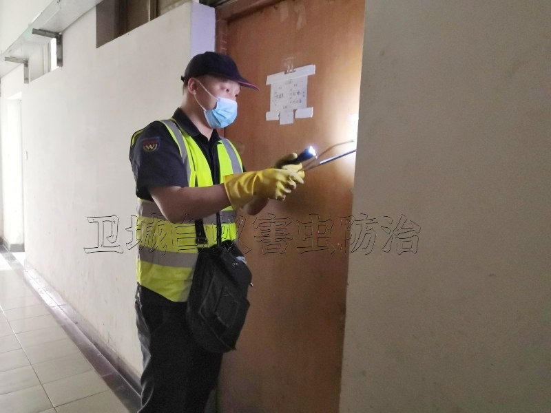 塘廈白蟻防治，塘廈滅白蟻中心